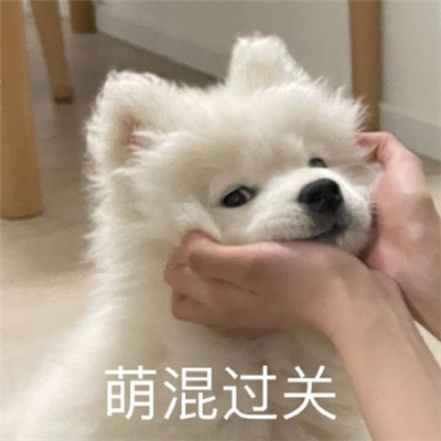 �ȳ�С�������������� �Ȼ����