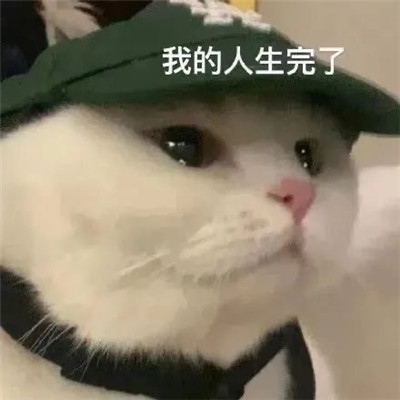 2022Сè�䳬���ɰ����ȱ���ϼ� �ҵ���������