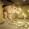 ��������The Backroomsv1.0.3 ��׿��