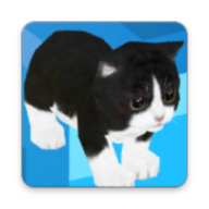 Сè����¥��(Kitten Infinite Stair)v1.4 ��׿��