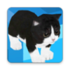 Сè����¥��(Kitten Infinite Stair)v1.4 ��׿��
