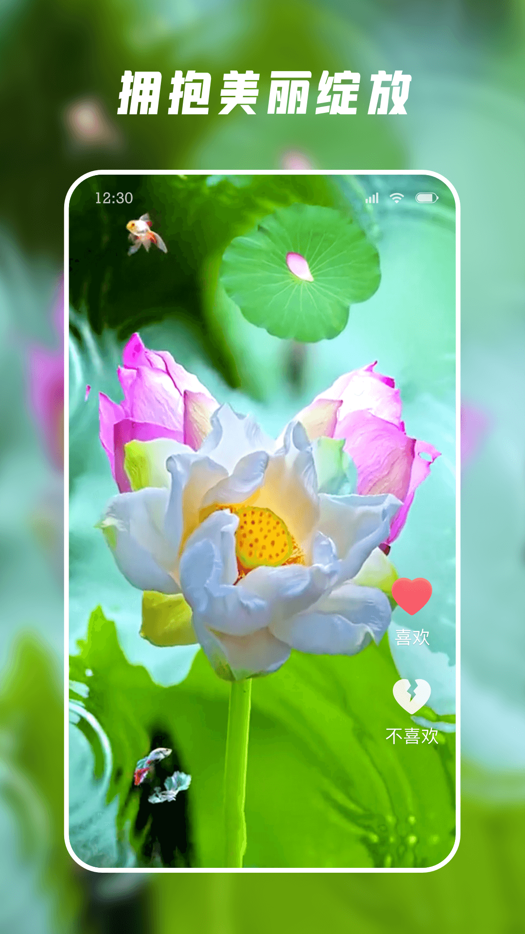 ����ˢ���ذ�װv1.1.9 �ֻ���