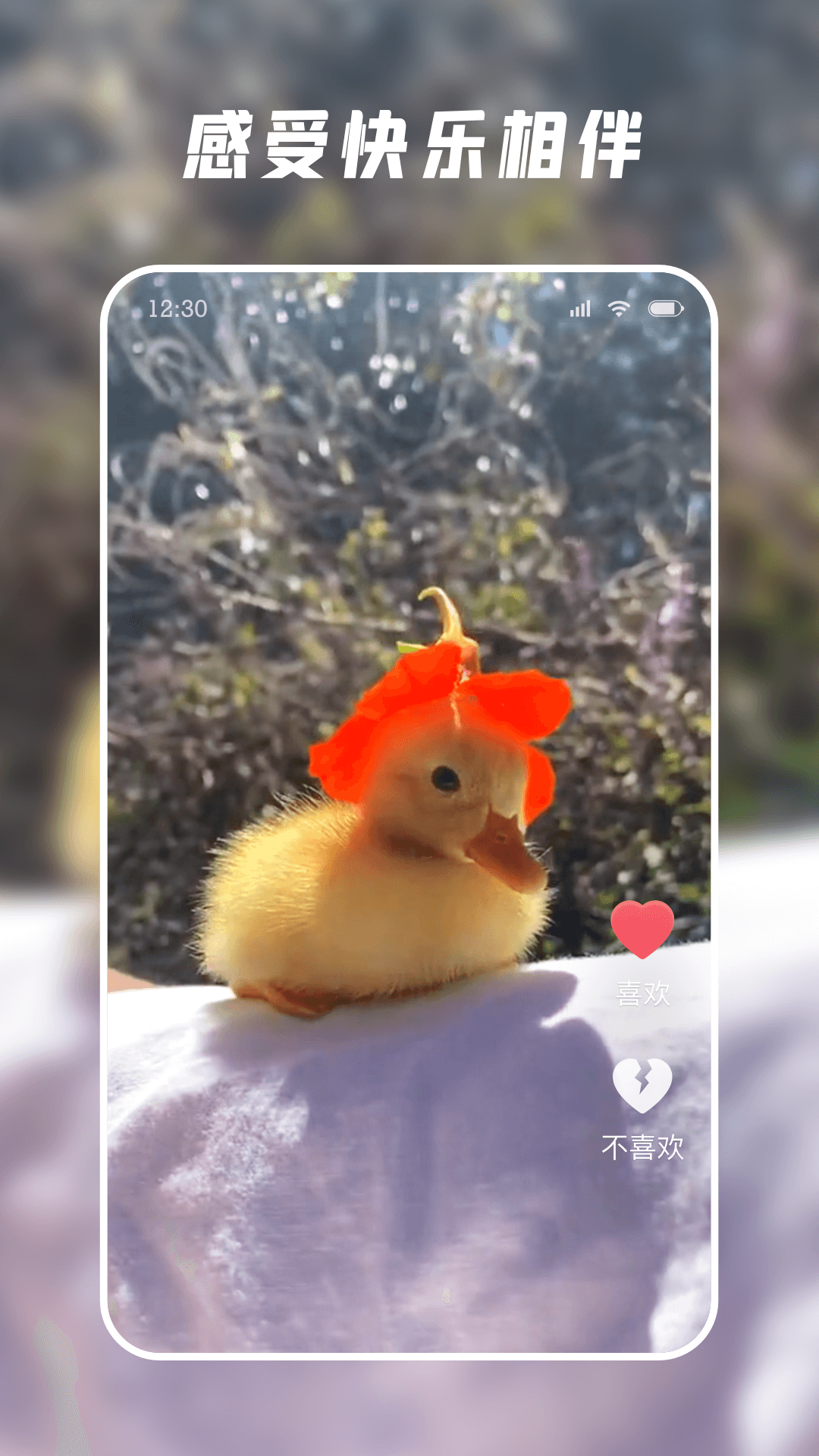 ����ˢ���ذ�װv1.1.9 �ֻ���