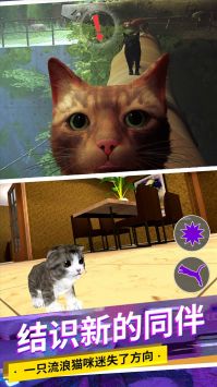 è��ģ������ʧstray�ֻ���v3.4 ��׿��