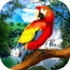 ����������(Jolly Wings)v1.3 ��׿��
