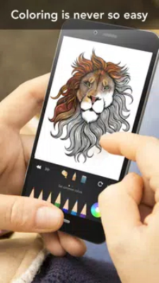 ����������ɫ��(Animal Coloring)v3.3.1 ��׿��
