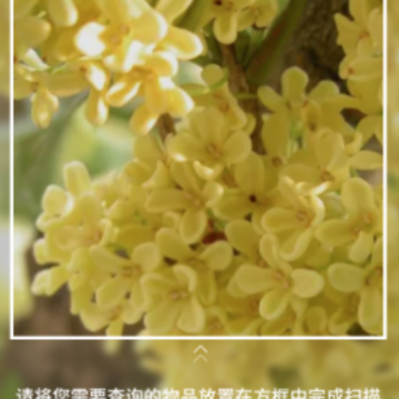 识花app 识花app