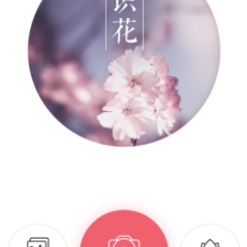 识花 识花