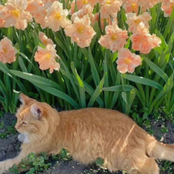 ������Խ��˵˵�̾� ������Խ�к�ǿ�˵ľ���