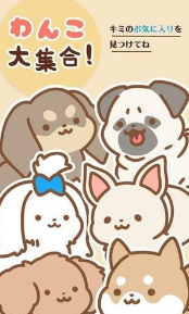 ����ȫ����(All Star Dogs)