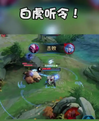 抖音为什么不能直播王者荣耀 抖音直播王者荣耀怎么授权 抖音为什么不能直播王者荣耀 抖音直播王者荣耀怎么授权