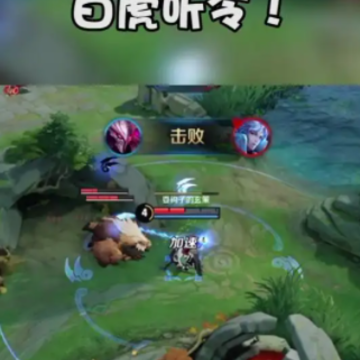 抖音为什么不能直播王者荣耀 抖音直播王者荣耀怎么授权 抖音为什么不能直播王者荣耀 抖音直播王者荣耀怎么授权