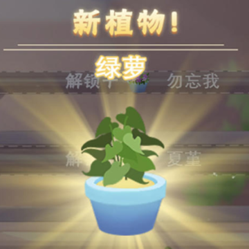 冰花乐园 冰花乐园