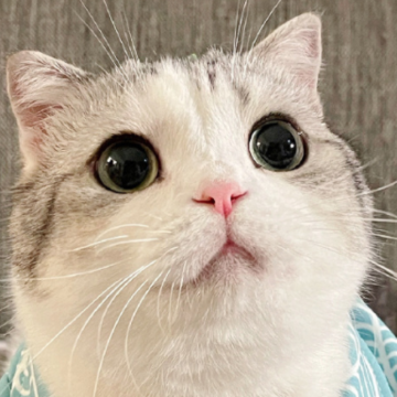 ���ø�Ц������ ����������Ϣ���ǳ�