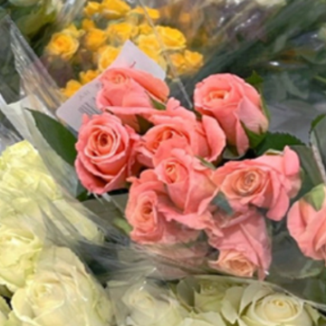 �����ܲ��ȶ��Ľ���˵˵ ��Ϊ�����ر��ǵ�˵˵