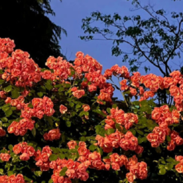 �о��������һ�˵�˵˵ û�к�ܵ��˸���¼