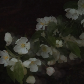 �й������Ƶ�����˵˵ ���г������Ƶ�˵˵