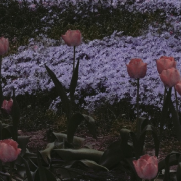 �й������Ƶ�����˵˵ ���г������Ƶ�˵˵