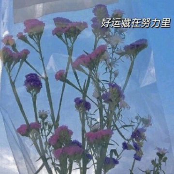 ��������������Ů�˸���ǩ�� �ȽϹ��˵ĸ���ǩ��