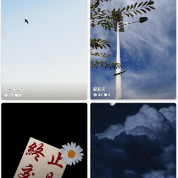 ������ֽapp
