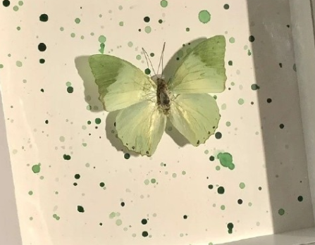ί������Ļ�滵�˵˵ ���������ļ��˵ľ���