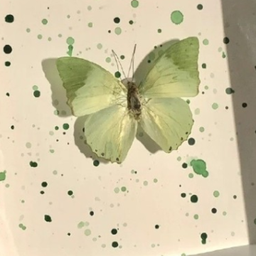 ί������Ļ�滵�˵˵ ���������ļ��˵ľ���