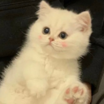 ��Ϸ����Ů��ɳ��ɰ� ���������õ���Ϸ�ǳ�