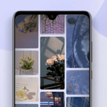 ��������ֽapp