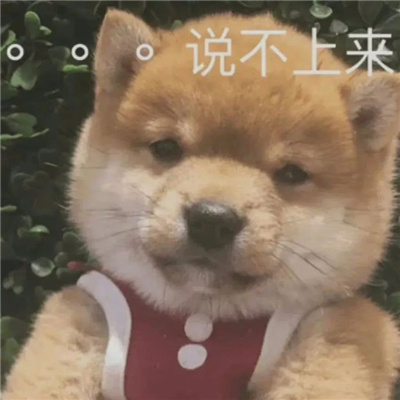 这么可爱又这么有趣的微信表情包给大家啦,很沙雕的又很热门的趣味