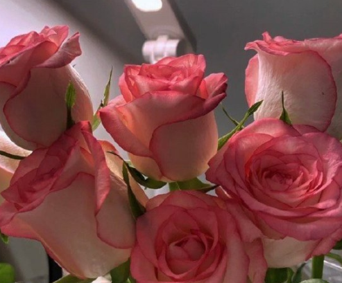 Ψһ��һ���˵�ǩ���̾� ��һ���˶�����Ҹ�ǩ��