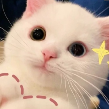 �ܹ������Լ��ĸ���ǩ�� �����Լ��ܺ���ǩ����ȫ
