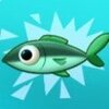 ��Ȥ����Fishcraftv6.0 ��׿��