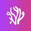 ɺ����Ƶapp�ٷ�����v4.6.1 ��׿��