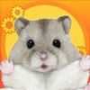 ����֮��(HamSato)v 1.0.1 ��׿��