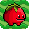 ����������Ϸ(tomato)v1.7 ��׿��