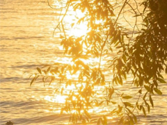 �ʺ�����������İ��˸� ��������˺�����������¼
