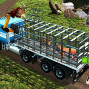 Ұ������������ϷAnimal Chase