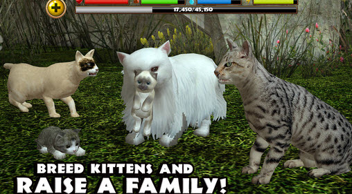 ����èģ�������İ�(StrayCatSim)v1 ���°�