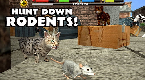 ����èģ�������İ�(StrayCatSim)v1 ���°�