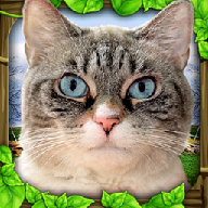 ����èģ�������İ�(StrayCatSim)v1 ���°�