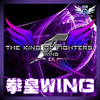 ȭ��wingex1.2��ʽ���ֻ���(ȭ��Wing EX v1.02)v1.02 ��׿��