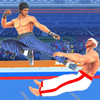 ������ֵ���(Tag Team Kung Fu Karate Fight)v1.1 ��׿��
