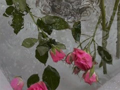 �о��Լ�������ֵ�˵˵ ��Ҳû�п����˵��İ�