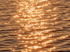 ����õ����Ѿ����˵�˵˵ ��������ܵ��˸���¼