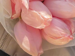 �ڴ���ѧ��Ψ������ ������ѧ�������İ�