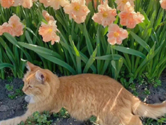 ������Խ��˵˵�̾� ������Խ�к�ǿ�˵ľ���