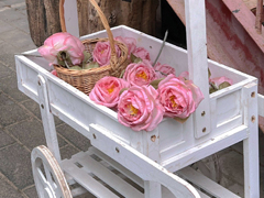 �����ܲ��ȶ��Ľ���˵˵ ��Ϊ�����ر��ǵ�˵˵