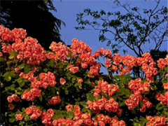 �о��������һ�˵�˵˵ û�к�ܵ��˸���¼