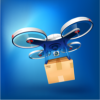 ˻Ϸ(Drone Cargo)v1.10 ׿
