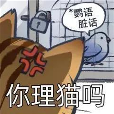 Ȥζ��ʧ�ɰ��ı��龫ѡ �ɰ������˵ı��鳬����Ц
